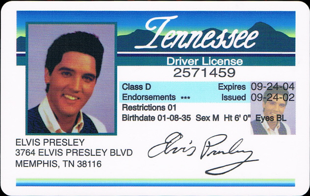ELVIIS 2nd To None - Presskit - Elvis Presley Promo CD-R
