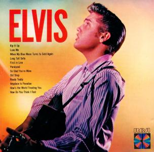 ELVIS - Brazil 1994 - PCD1-5199