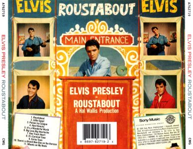 Roustabout - Sony A762719 - USA 2010