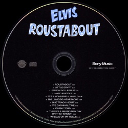 Roustabout - Sony A762719 - USA 2010